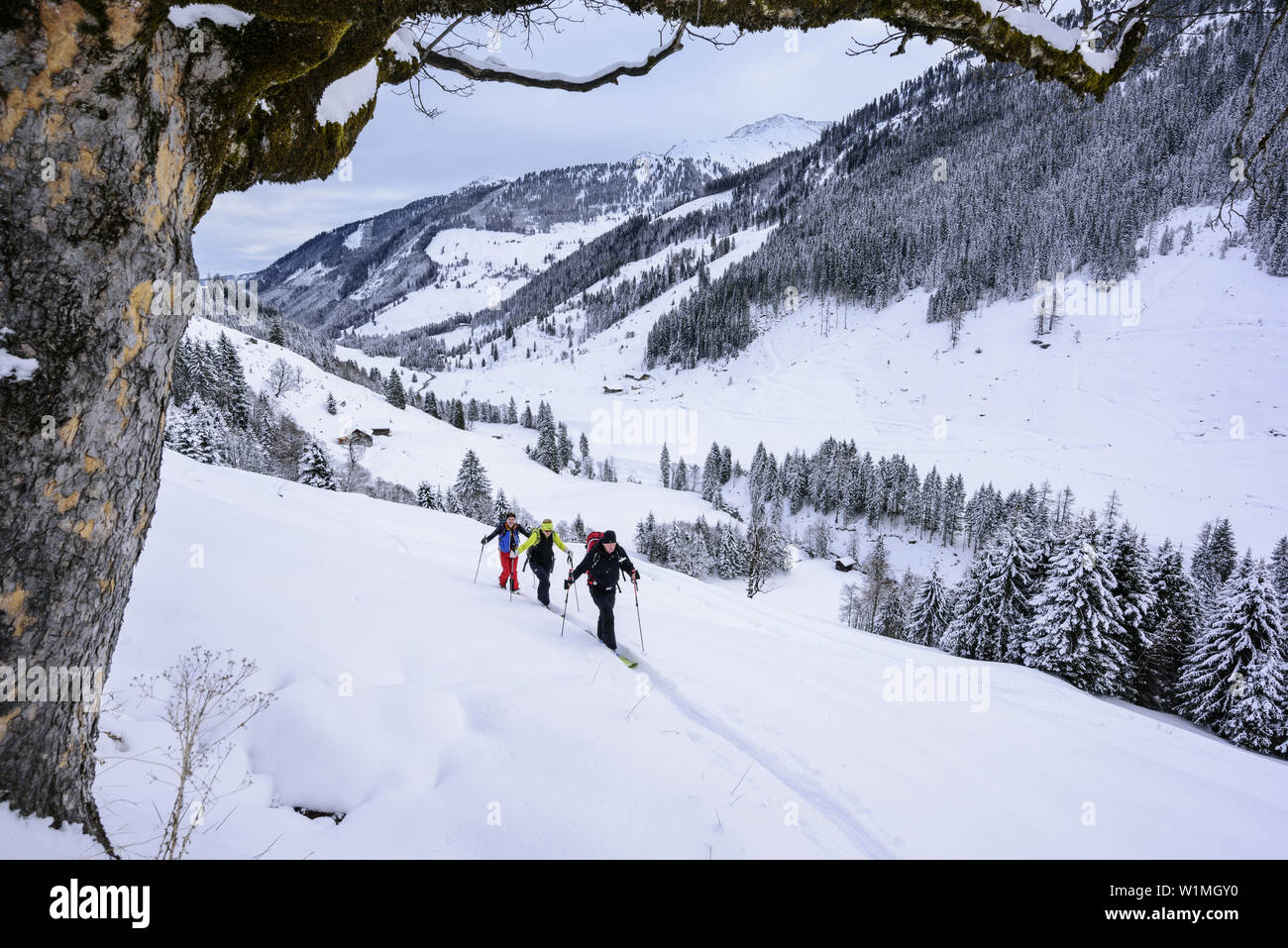 Tre persone indietro-paese sci ascendente di Sonnenjoch, Sonnenjoch, Kitzbuehel Alpi, Tirolo, Austria Foto Stock