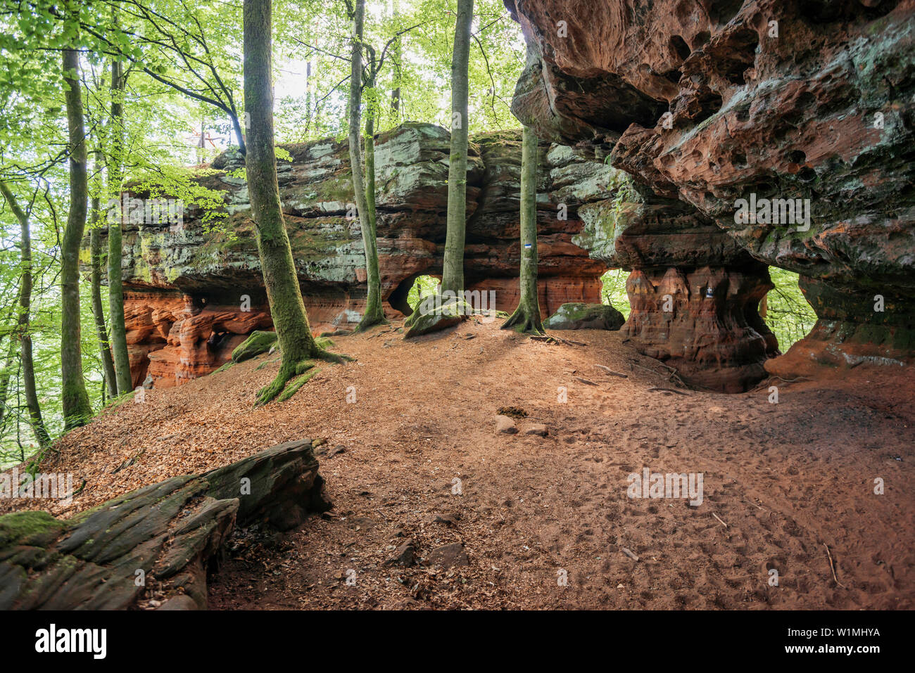 Altschlossfelsen, monumento naturale, Foresta del Palatinato, Eppenbrunn, Renania-Palatinato, Germania Foto Stock
