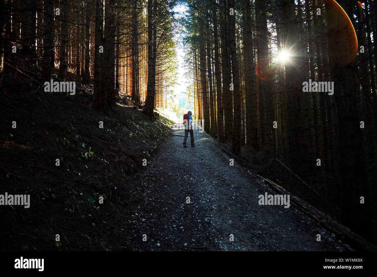 Donna escursionismo in una foresta scura Foto Stock
