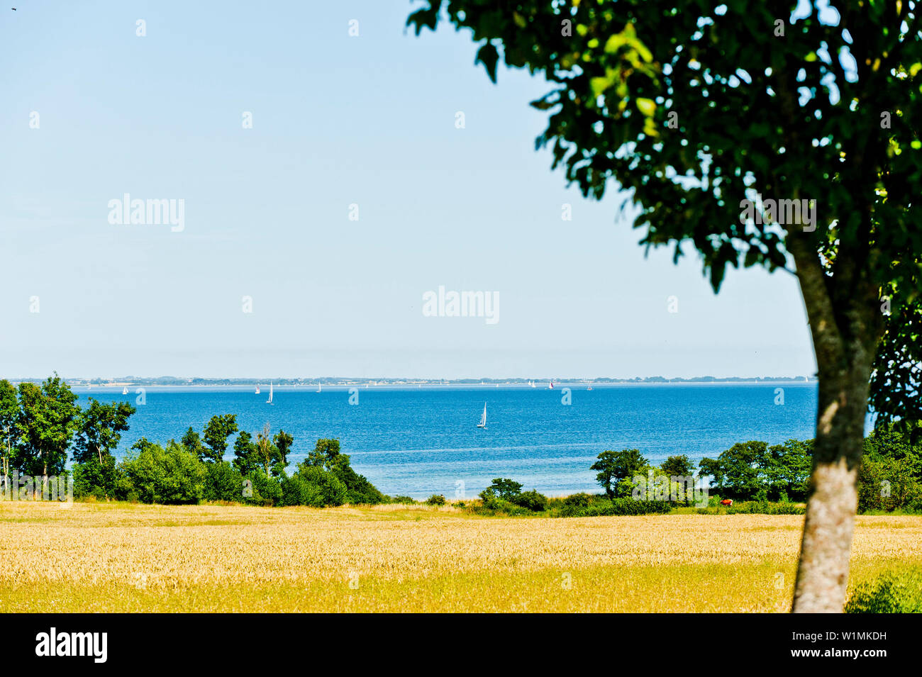 Visualizzare und barche a vela sul Mar Baltico vicino Westerholz, Schleswig-Holstein, Germania Foto Stock