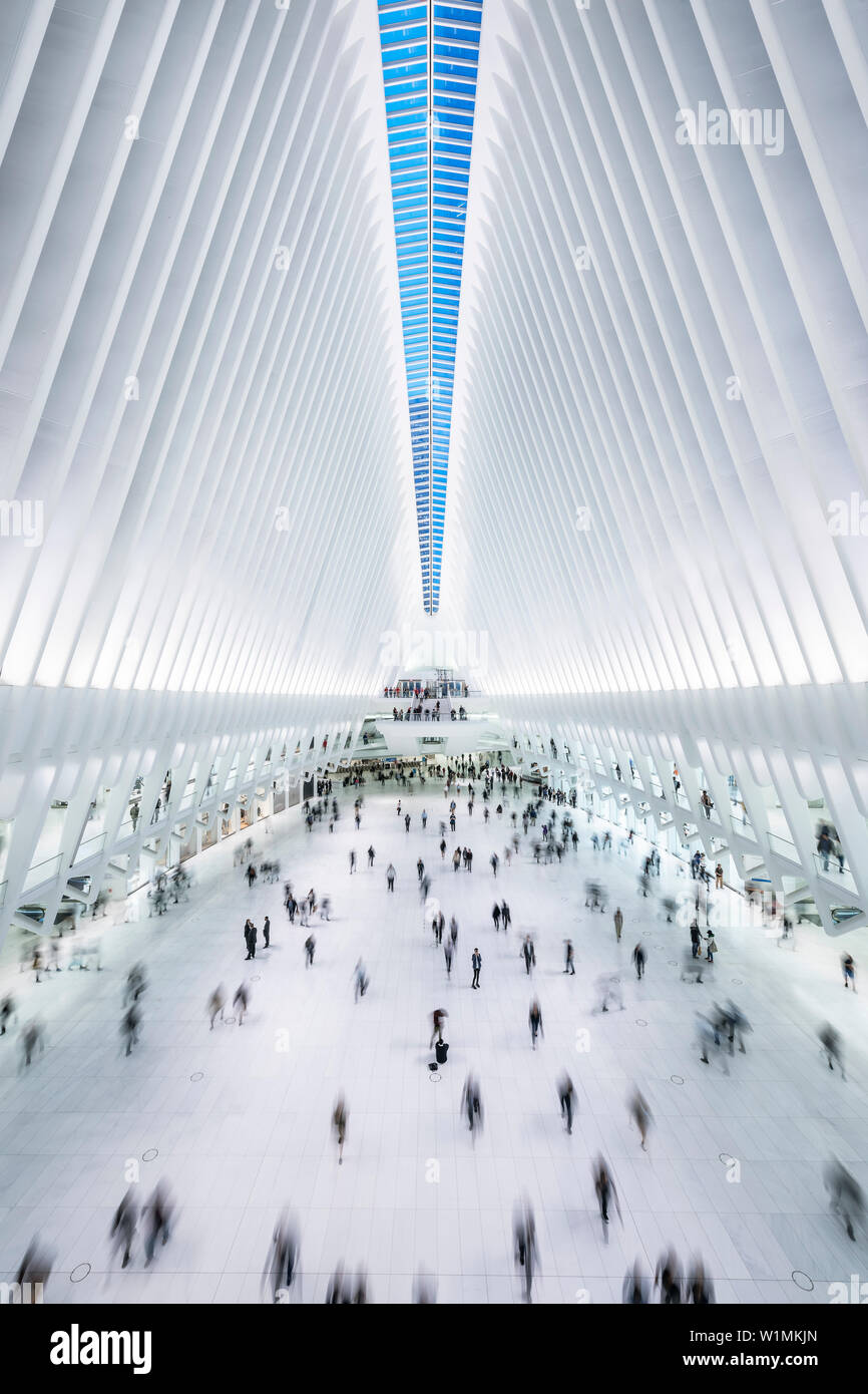 L'occhio, visualizza in basso a passeggeri, futuristica Stazione ferroviaria dal famoso architetto Santiago Calatrava accanto al WTC Memorial, Manhattan, New York City, U Foto Stock