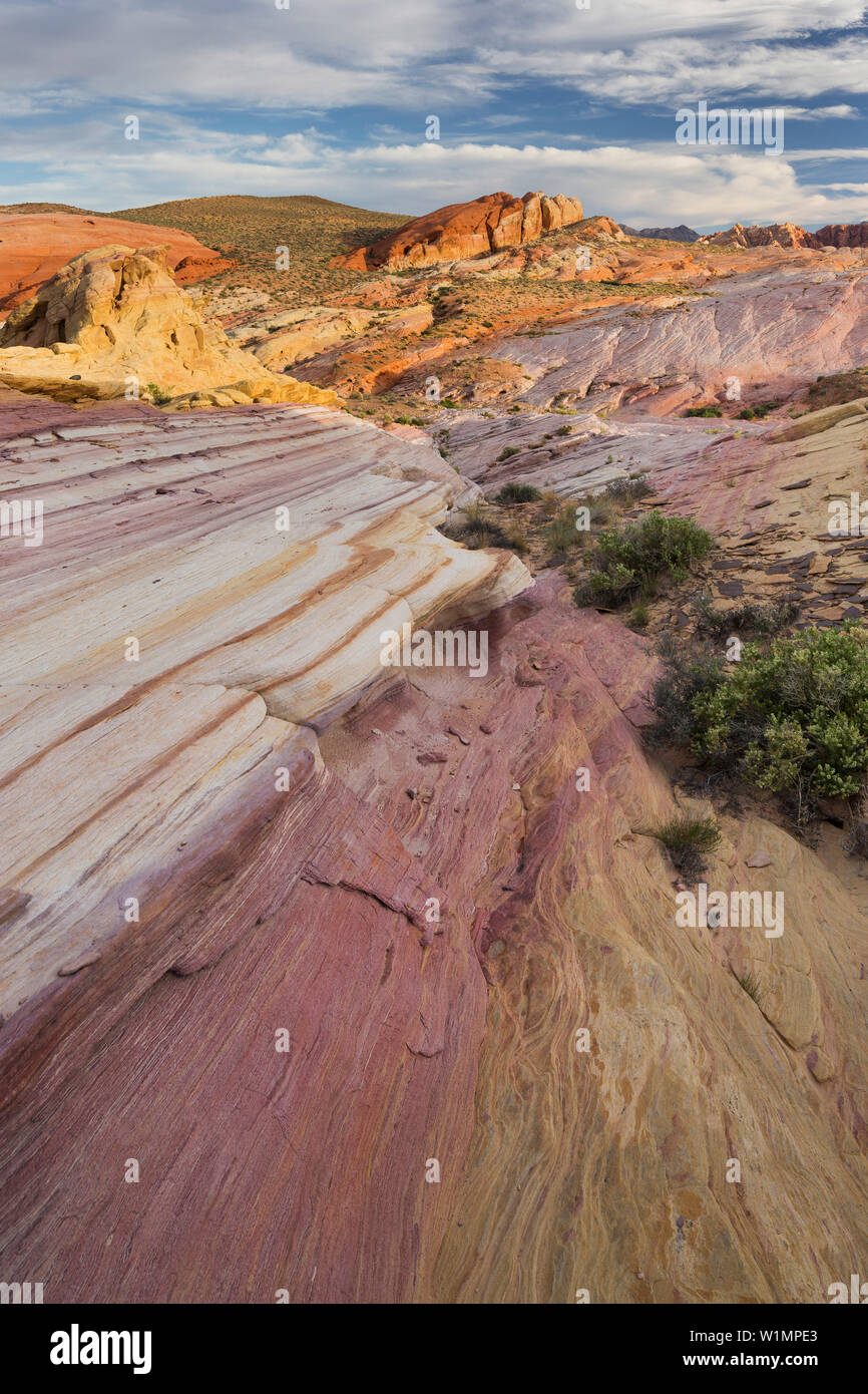 Sandstein, la Valle del Fuoco del parco statale, Nevada, STATI UNITI D'AMERICA Foto Stock