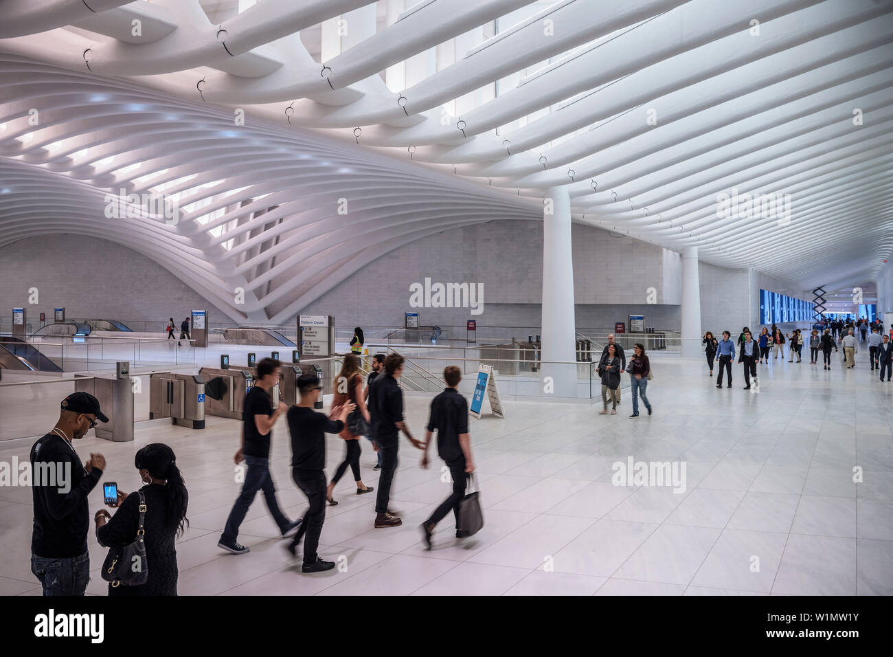 L'occhio, ingresso ai treni, futuristica Stazione ferroviaria dal famoso architetto Santiago Calatrava accanto al WTC Memorial, Manhattan, New York City, Stati Uniti d'America, U Foto Stock