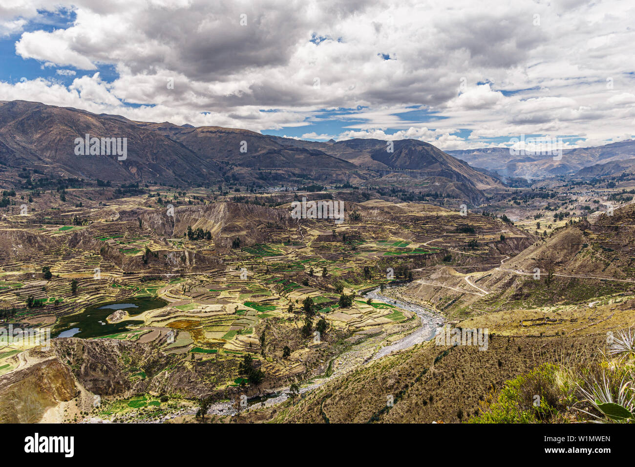 Un sacco di terrazze nella Valle di Colca, Perù Foto Stock