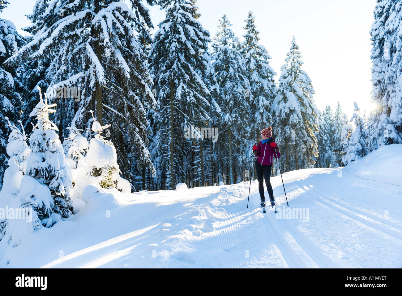Sci femminile in una foresta in inverno, sci di fondo, paesaggio invernale, abeti coperti di neve, area sciistica, Harz, Signor, Sankt Andreasberg, Sax inferiore Foto Stock