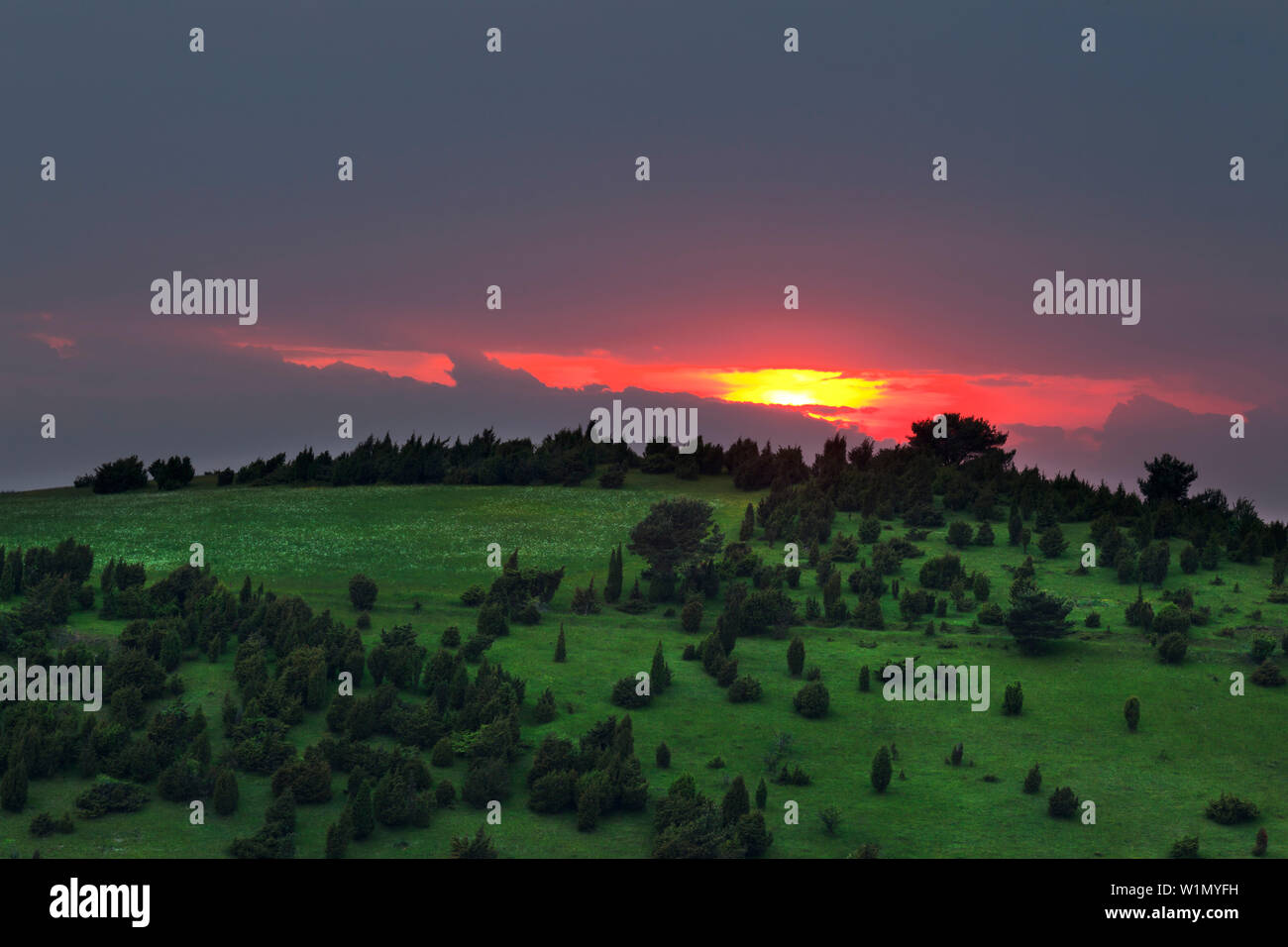 Calvario vicino Alendorf, riserva naturale Lampertstal, Eifelsteig, Eifel, Renania-Palatinato, Germania Foto Stock
