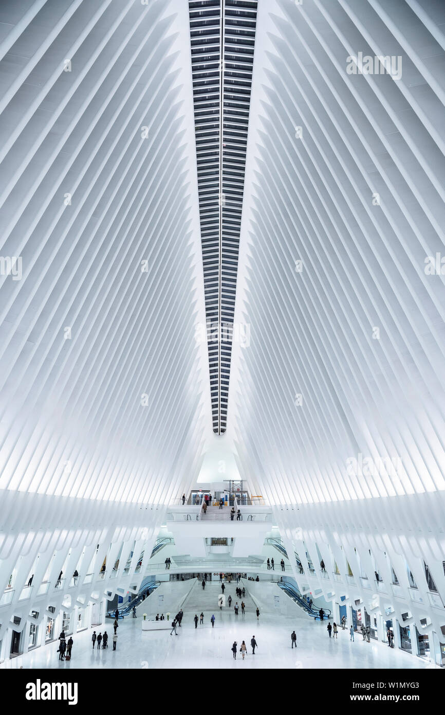 L'occhio, visualizza in basso a passeggeri, futuristica Stazione ferroviaria dal famoso architetto Santiago Calatrava accanto al WTC Memorial, Manhattan, New York City, U Foto Stock