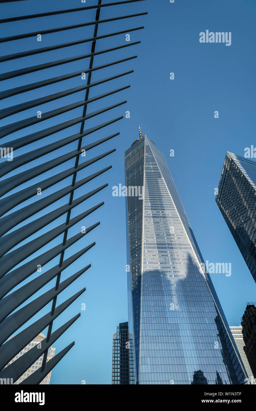 L'occhio è una futuristica Stazione ferroviaria dal famoso architetto Santiago Calatrava accanto al WTC Memorial, Manhattan, New York City, Stati Uniti d'America, Stati Uniti d Foto Stock