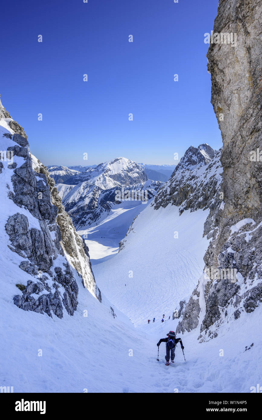 Parecchie persone indietro-paese sci salendo attraverso canaloni di Hochglueckkar, Hochglueckkar, Eng, parco naturale Karwendel, gamma Karwendel, Tirolo, Austr Foto Stock