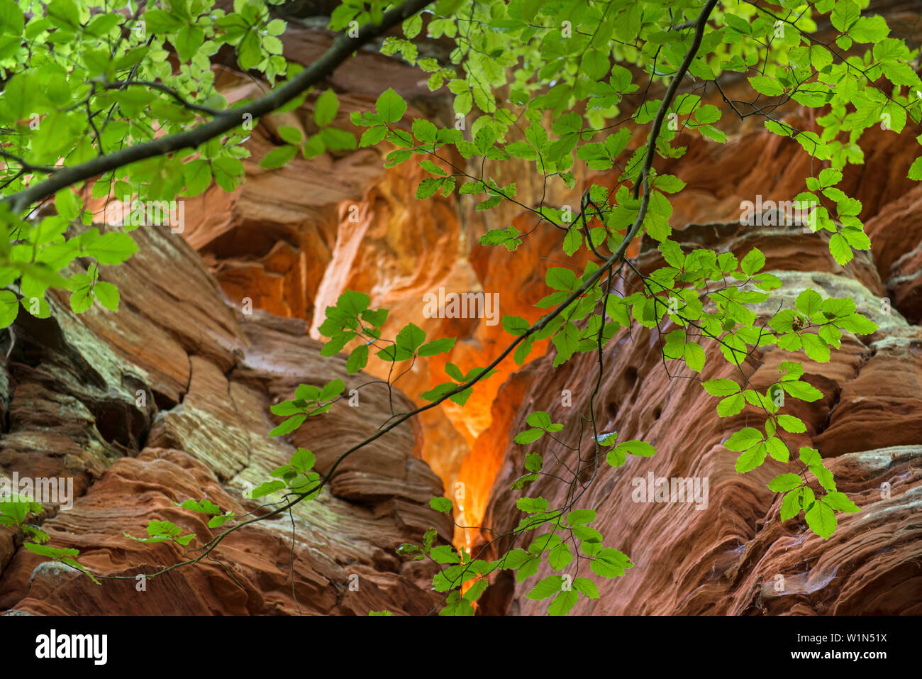 Altschlossfelsen, monumento naturale, Foresta del Palatinato, Eppenbrunn, Renania-Palatinato, Germania Foto Stock
