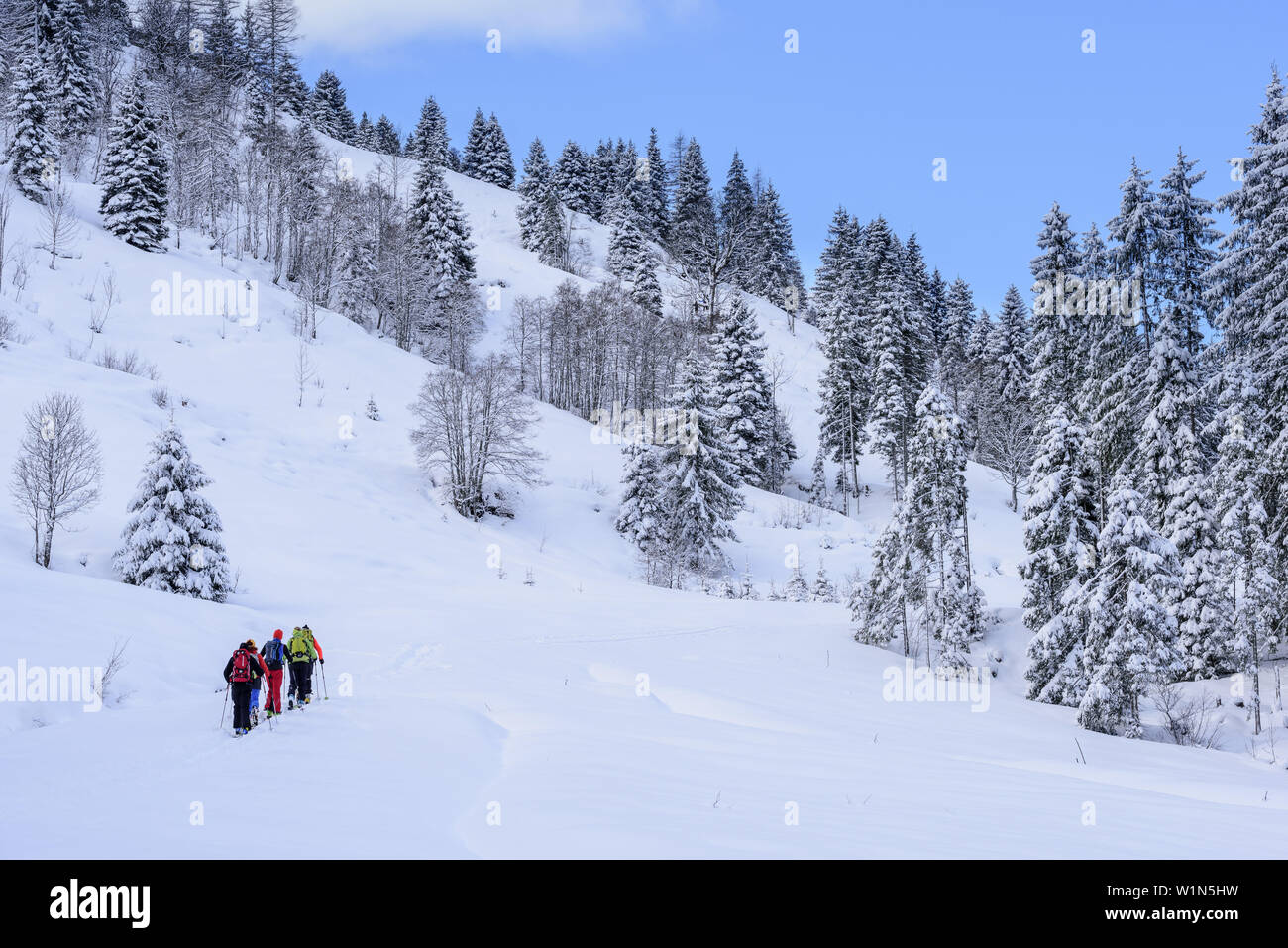 Parecchie persone indietro-paese sci ascendente di Sonnenjoch, Sonnenjoch, Kitzbuehel Alpi, Tirolo, Austria Foto Stock