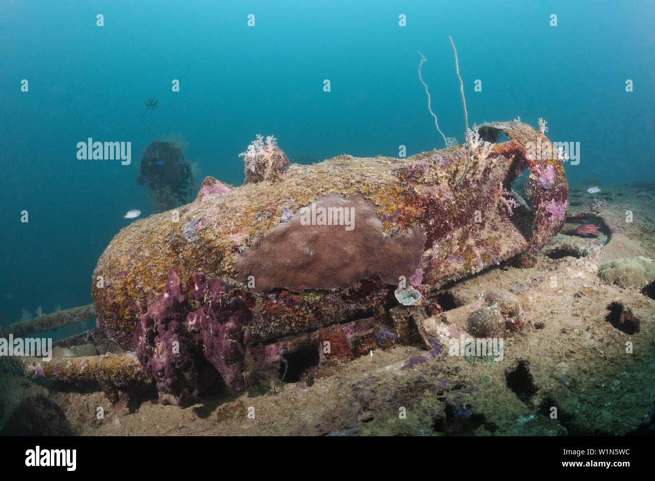 Armati di Bomba intrepida immersioni relitto del bombardiere, Marovo Lagoon, Isole Salomone Foto Stock