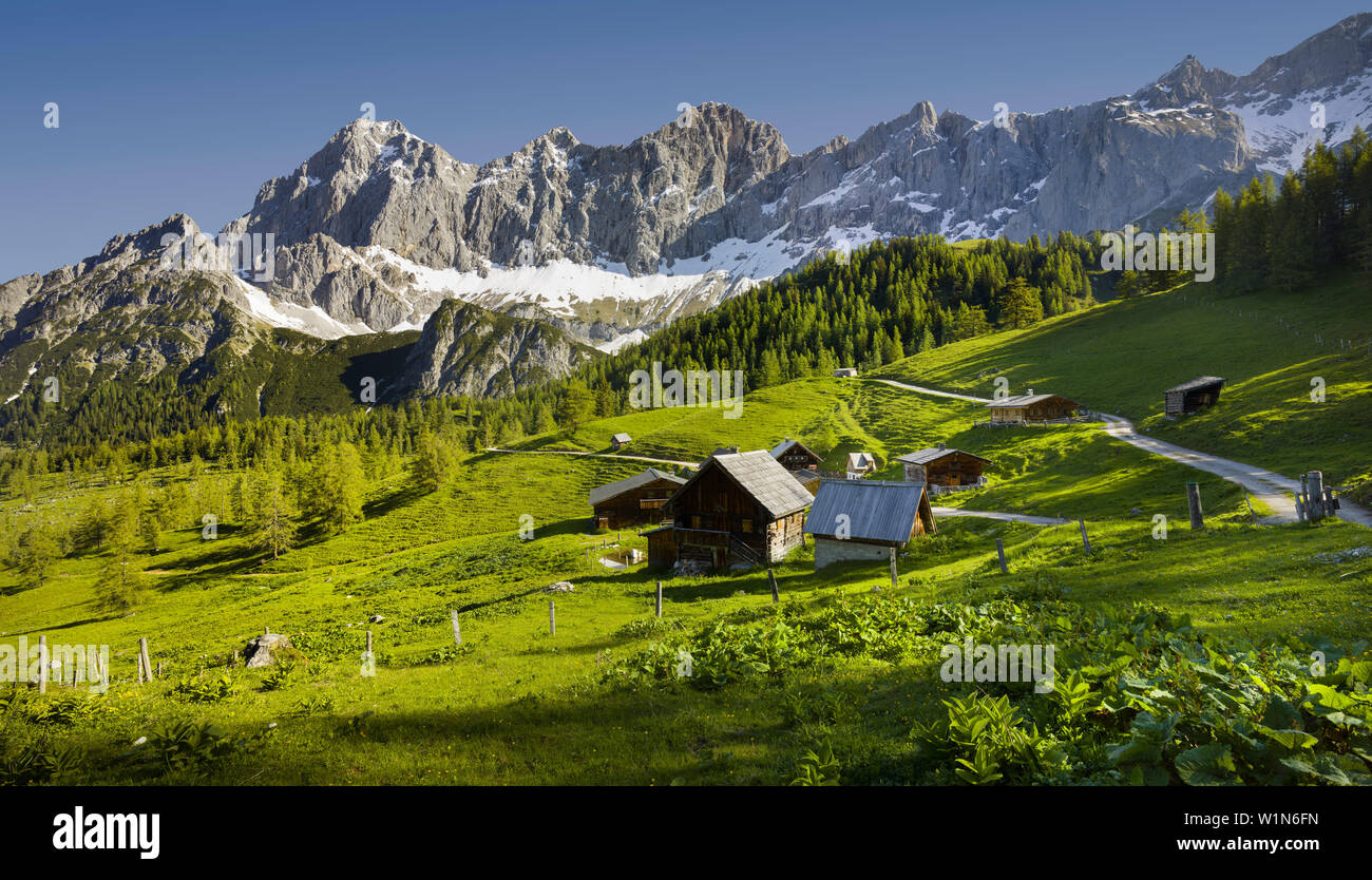 Neustattalm, Dachstein, Stiria, Austria Foto Stock