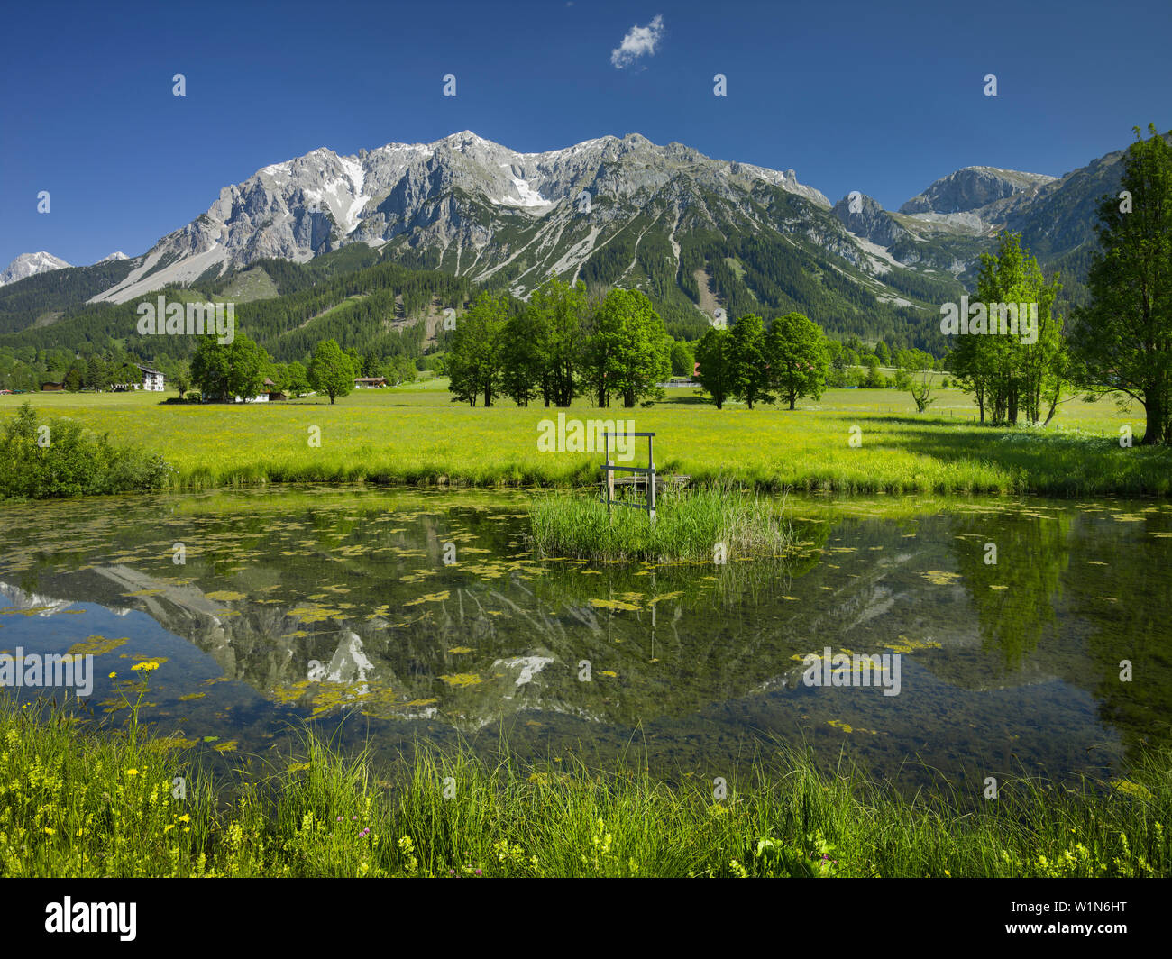 Ramsau, Scheichenspitze, Dachsteinmassiv, stagno, Stiria, Austria Foto Stock