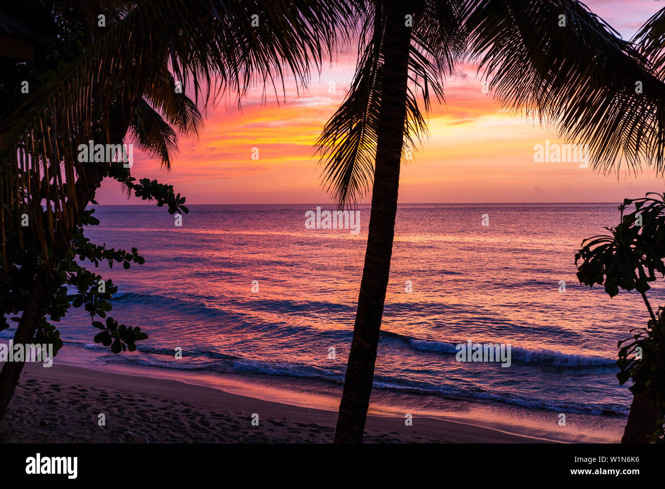 Tramonto, palme da cocco sulla spiaggia, il Cocos nucifera, Tobago, West Indies, dei Caraibi Foto Stock