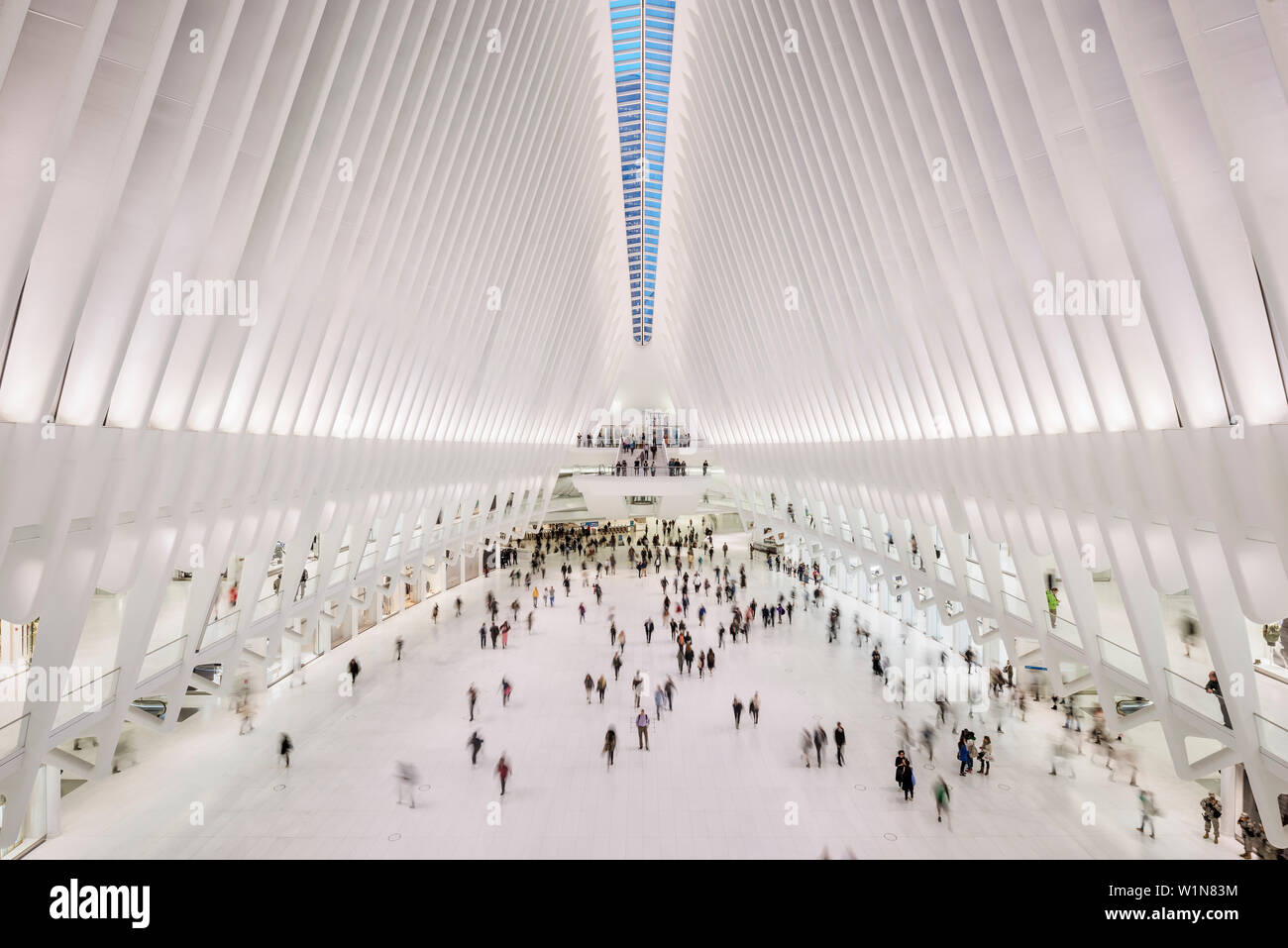 L'occhio, visualizza in basso a passeggeri, futuristica Stazione ferroviaria dal famoso architetto Santiago Calatrava accanto al WTC Memorial, Manhattan, New York City, U Foto Stock