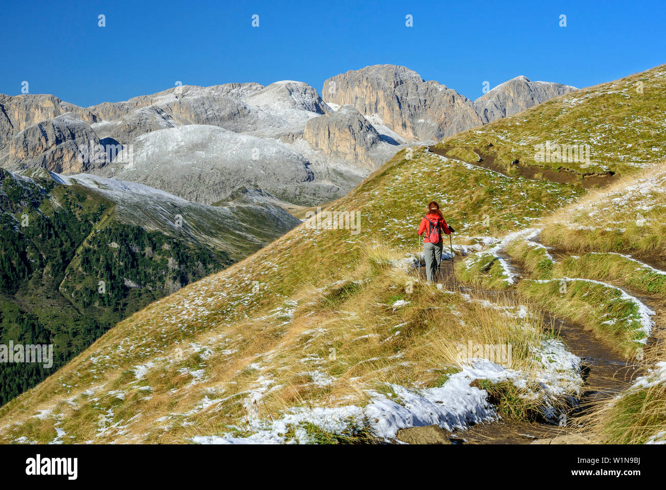 Donna con escursioni Rosengarten gamma in background, Friedrich-August-Weg, gruppo del Sasso Lungo, Dolomiti, Patrimonio Mondiale UNESCO Dolomiti, Trentino, Italia Foto Stock