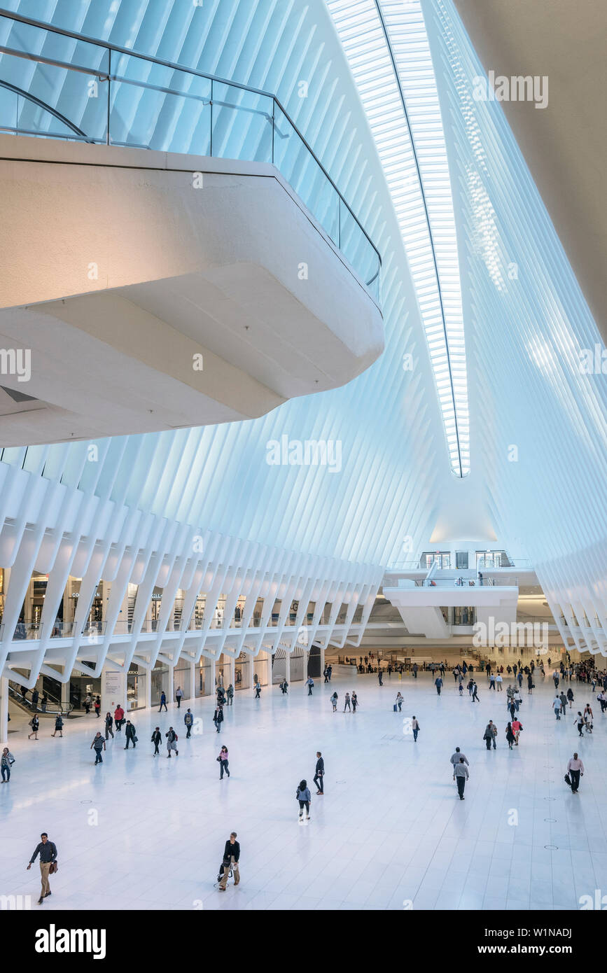Uno dei due plattforms visualizzazione all'interno dell'occhio, futuristica Stazione ferroviaria dal famoso architetto Santiago Calatrava accanto al WTC Memorial, Manhattan Foto Stock