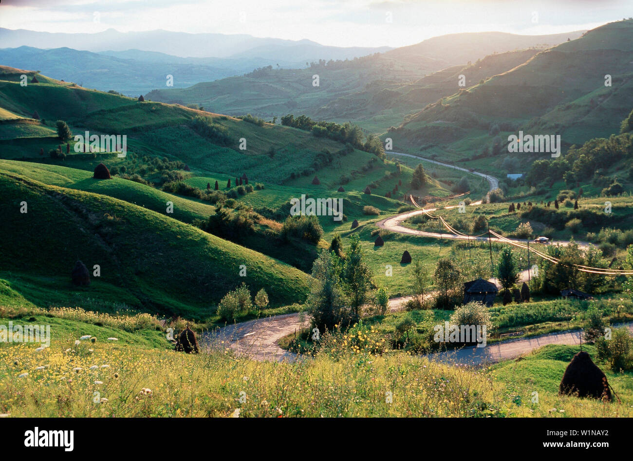 Strada di Montagna, Maramures, Carpazi, Romania Foto Stock