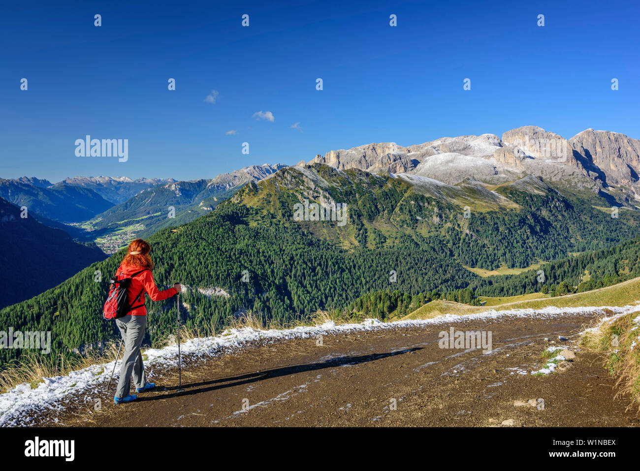 Donna escursionismo con la valle di Fassa e gamma Rosengarten in background, Friedrich-August-Weg, gruppo del Sasso Lungo, Dolomiti, Patrimonio Mondiale UNESCO Dolomit Foto Stock