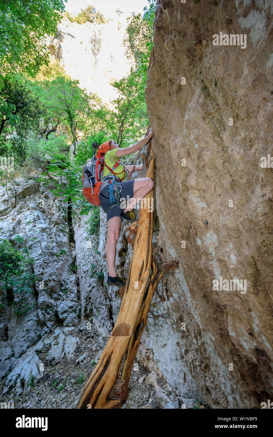 Donna salendo a Selvaggio Blu sui trunk su rockface, Selvaggio Blu, il Parco Nazionale del Golfo di Orosei e del Gennargentu, Sardegna, Italia Foto Stock