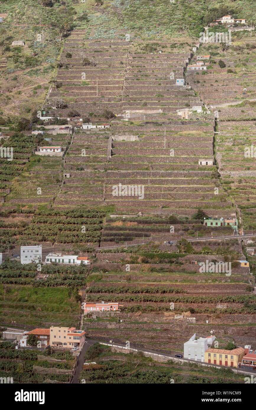 Terrazze lungo i ripidi pendii di Hermigua, La Gomera, isole Canarie, Spagna Foto Stock