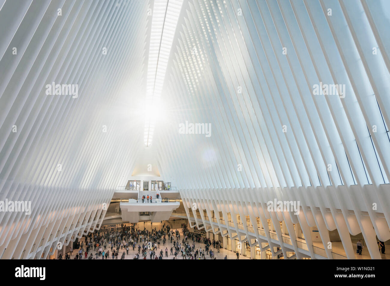 Sunrise all'interno dell'occhio, futuristica Stazione ferroviaria dal famoso architetto Santiago Calatrava accanto al WTC Memorial, Manhattan, New York City, Stati Uniti d'America, Regno Foto Stock