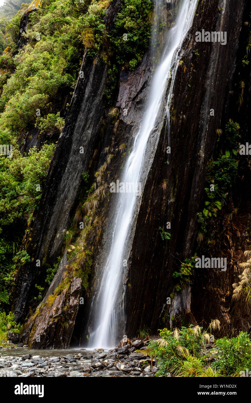 Una cascata sulla valle Walk, Ghiacciaio Franz Josef, Isola del Sud, Nuova Zelanda Foto Stock