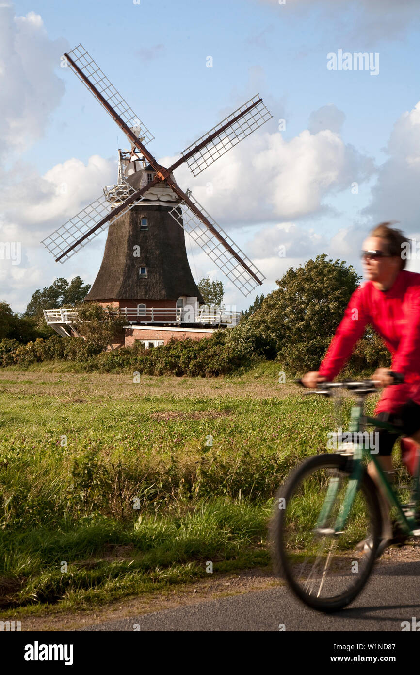 Donna ciclismo, windmill in background, Oldsum, Foehr isola, Schleswig-Holstein, Germania Foto Stock