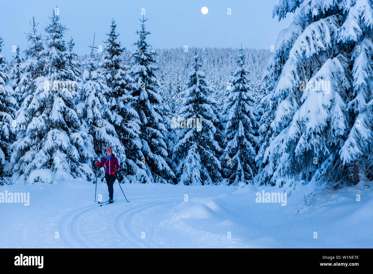 Sci femminile in una foresta in inverno, sci di fondo in corrispondenza di luna piena, paesaggio invernale, abeti coperti di neve, sport invernali, Harz, Signor, Sankt Andre Foto Stock