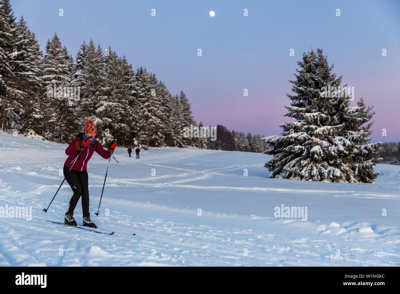 Sci femminile in una foresta invernale, lo sci di fondo con la luna piena, paesaggio invernale, Harz, Signor, Sankt Andreasberg, Bassa Sassonia, Germania Foto Stock