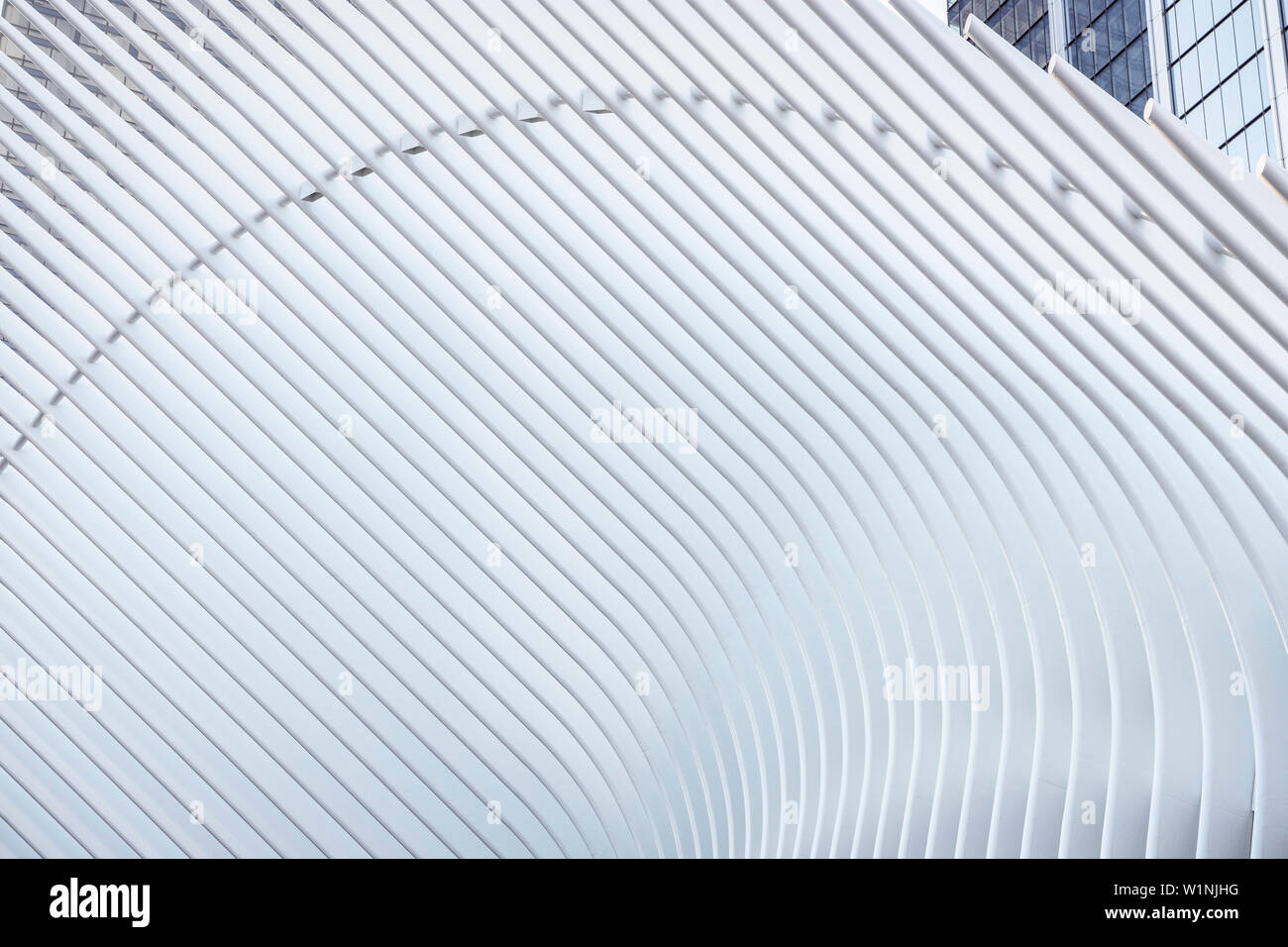Gli elementi di dettaglio dell'occhio che è una futuristica Stazione ferroviaria dal famoso architetto Santiago Calatrava accanto al WTC Memorial, Manhattan, New York Foto Stock