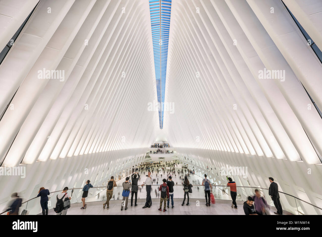 L'occhio, visualizza in basso a passeggeri, futuristica Stazione ferroviaria dal famoso architetto Santiago Calatrava accanto al WTC Memorial, Manhattan, New York City, U Foto Stock