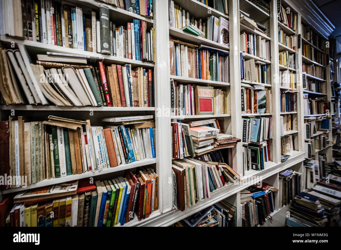 Interno di una libreria a Porto, Portogallo. Foto Stock