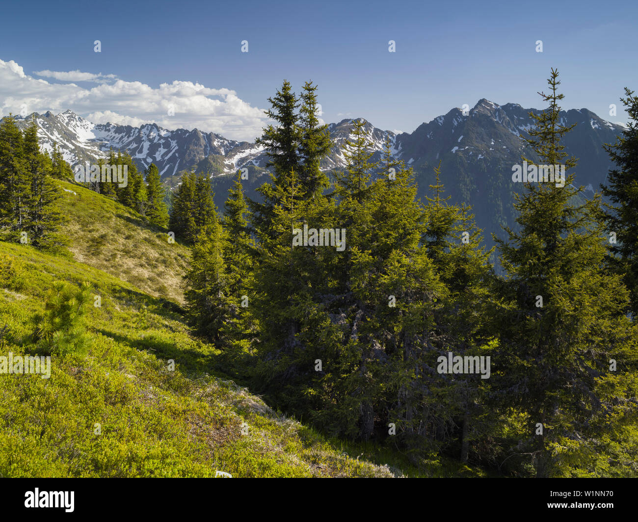 Abbassare Tauern, Planai, Krahbergsattel, Stiria, Austria Foto Stock