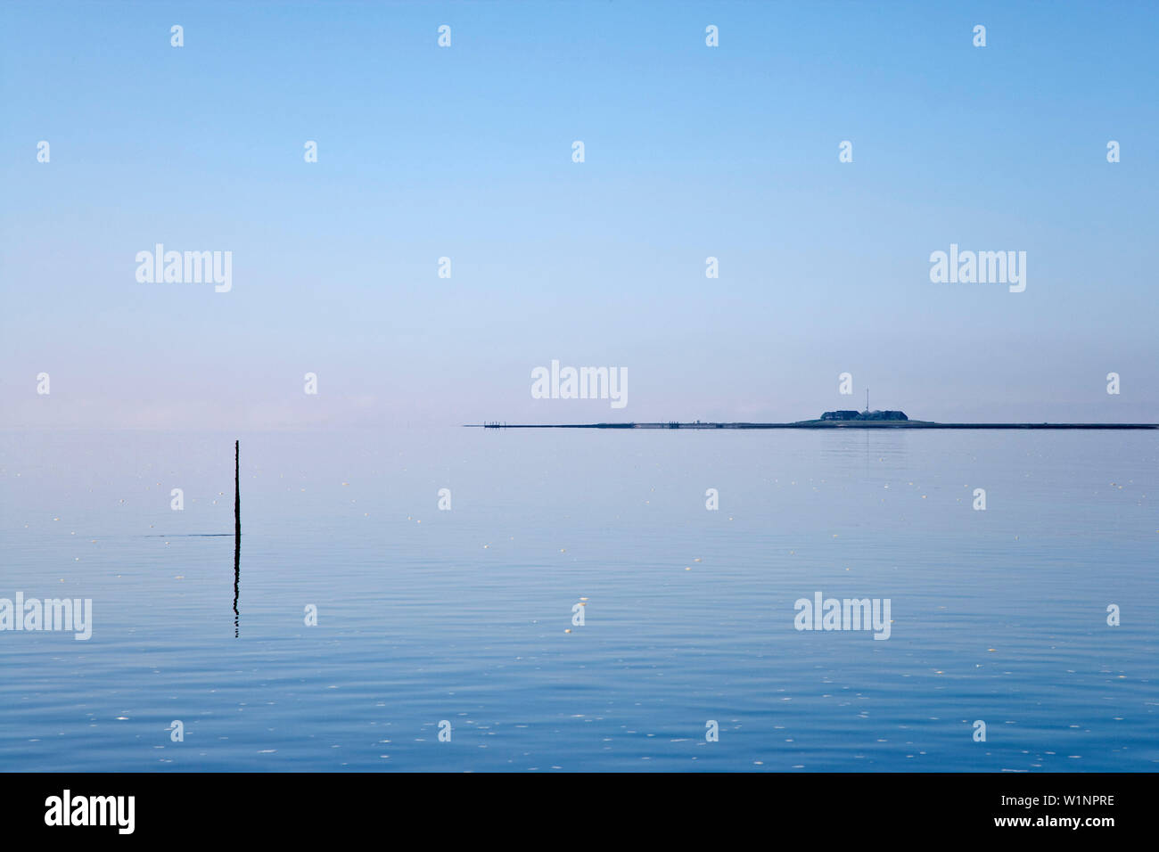 Hallig Hooge, Nord Isole Frisone, Schleswig-Holstein, Germania Foto Stock