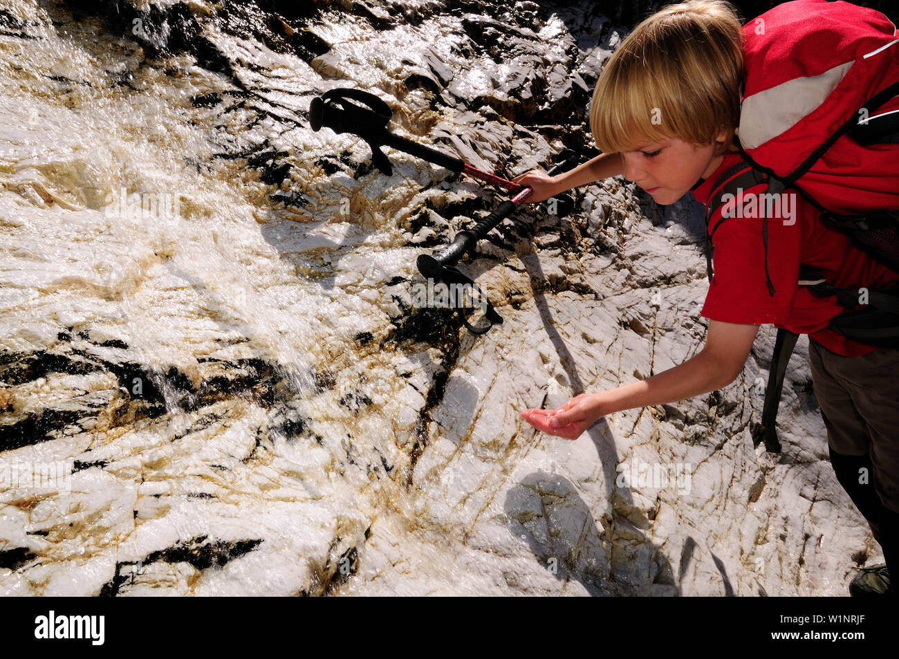 Kid è acqua potabile da una cascata all'Pflerscher Höhenweg, Pflerschtal, Sud Tirolo, Italia Foto Stock