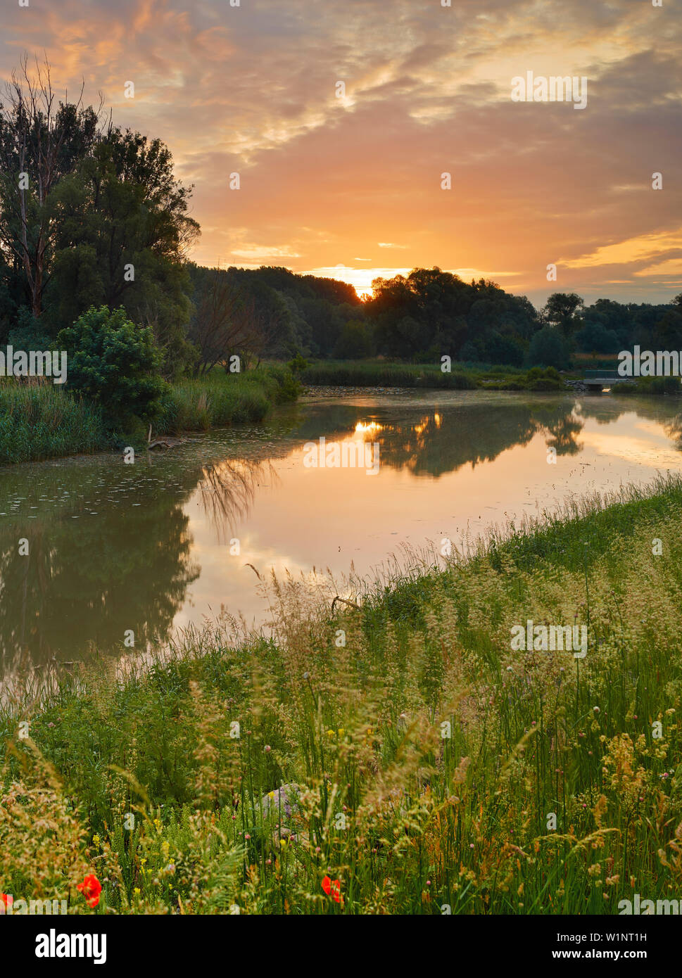 Vicino a Orth an der Donau, Austria Inferiore, Austria Foto Stock