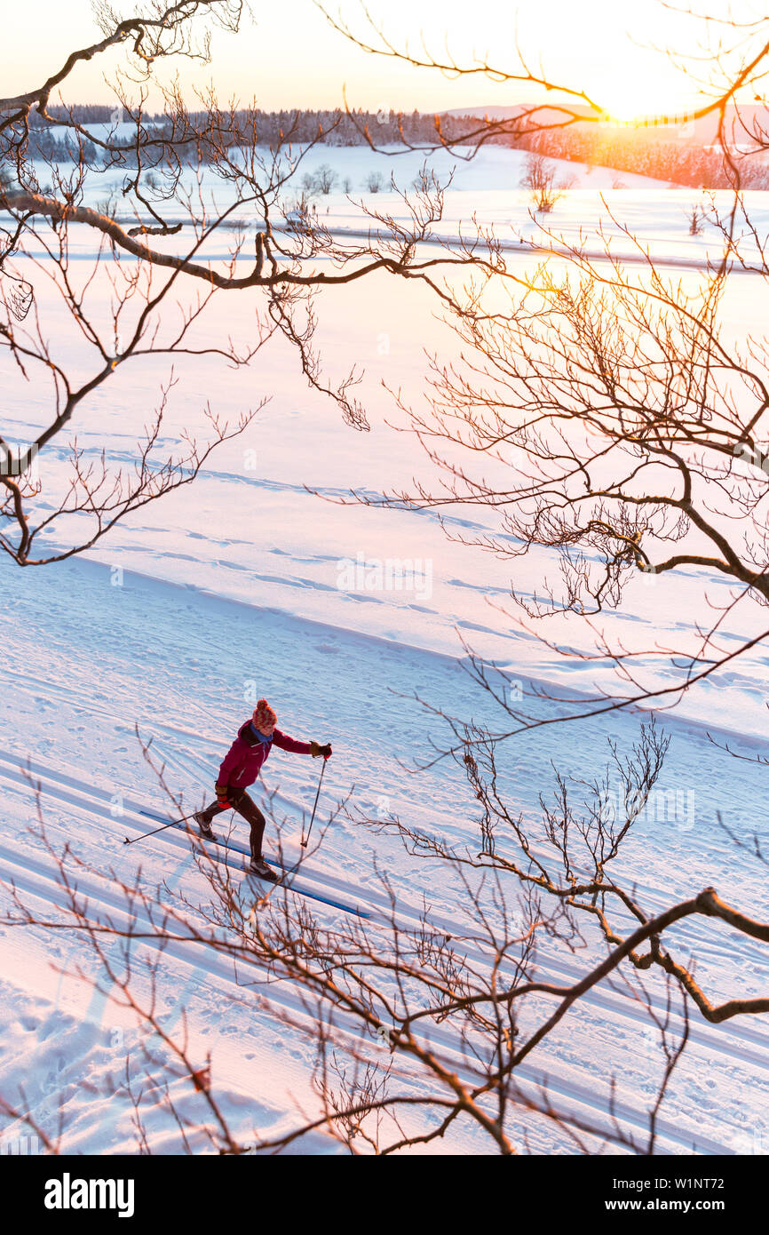 Sci femminile su una coperta di neve campo al tramonto, le tracce nella neve Harz, Signor, Sankt Andreasberg, Bassa Sassonia, Germania Foto Stock