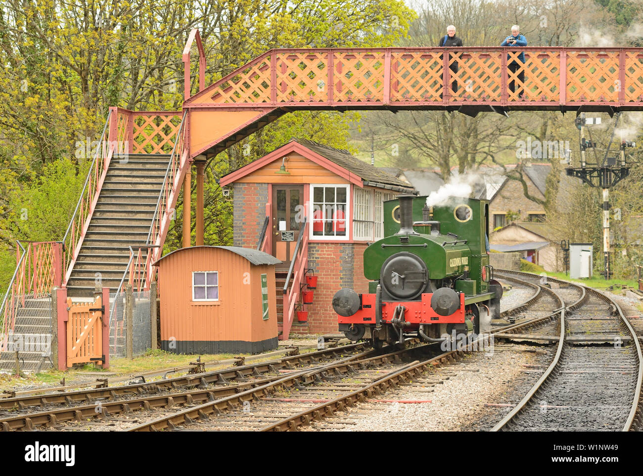 Andrew Barclay Saddle Tank No 1219 Caledonia lavora a Buckfastleigh durante il gala di 50th anni della South Devon Railway, 13.04.2019.. Foto Stock