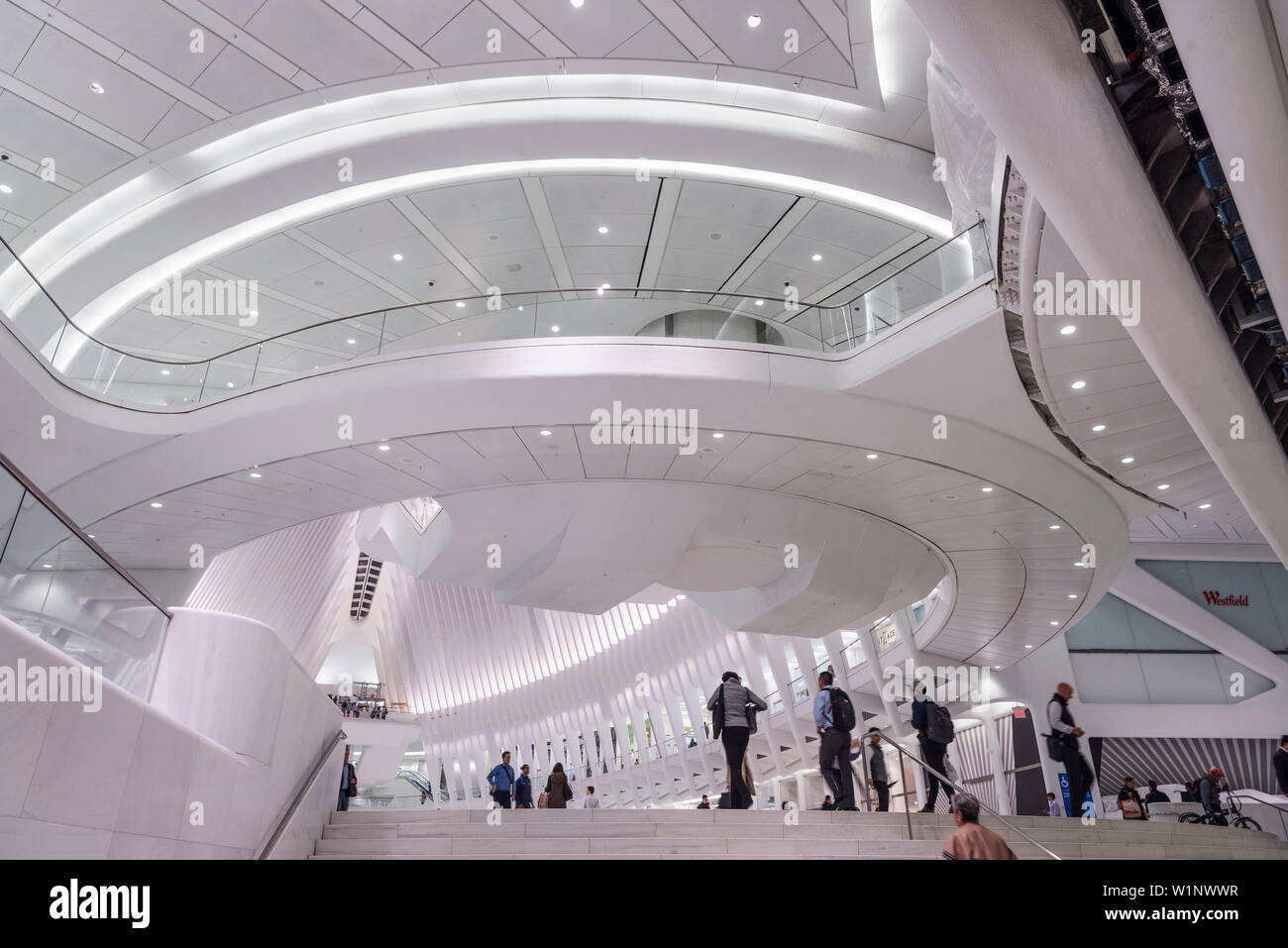 Interno dell'occhio, una futuristica Stazione ferroviaria dal famoso architetto Santiago Calatrava accanto al WTC Memorial, Manhattan, New York City, Stati Uniti d'America, Regno Foto Stock