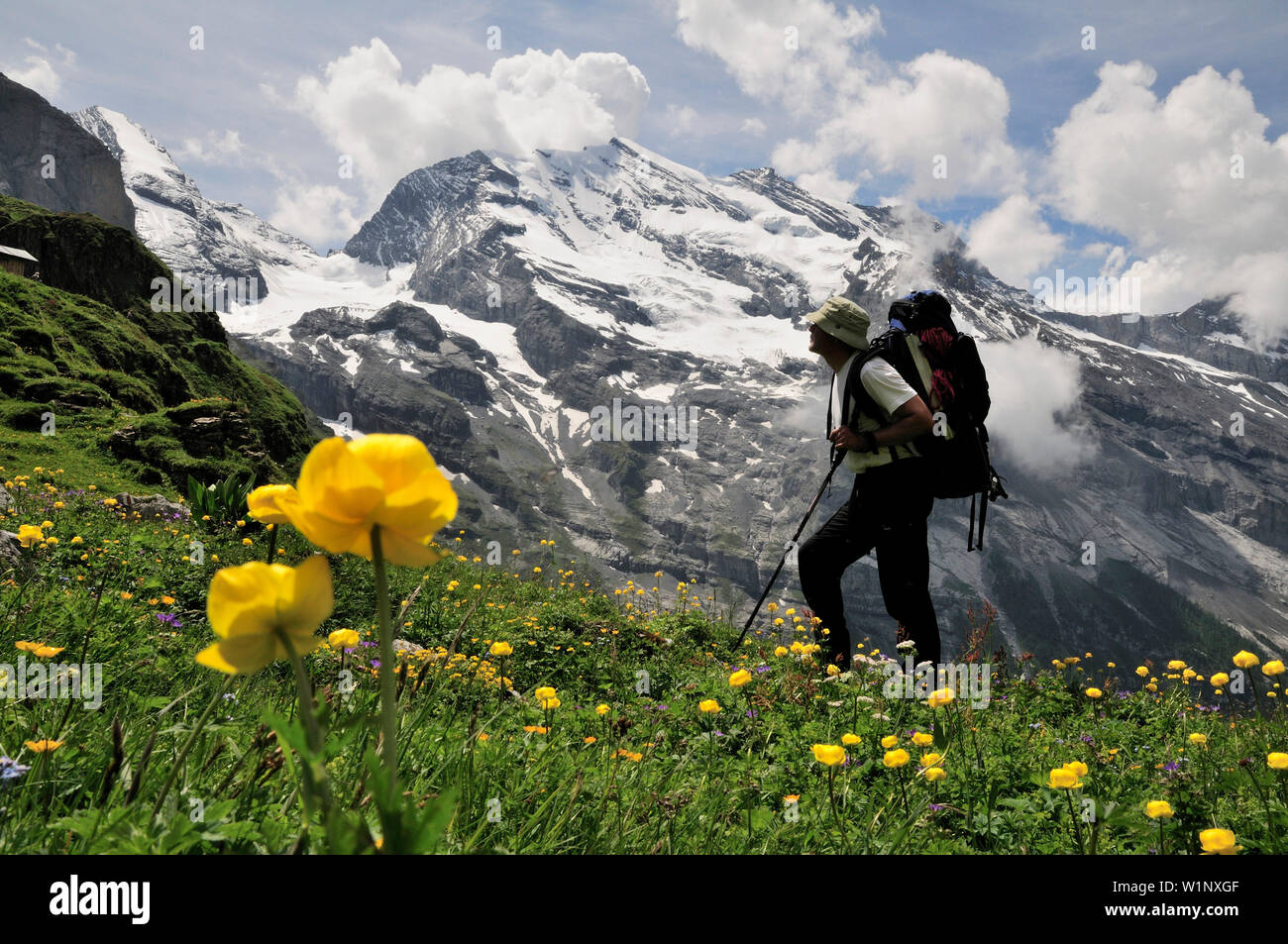 Walker nella parte anteriore del Doldenhorn, Alpi Bernesi, Svizzera Foto Stock