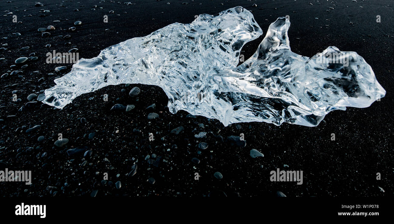 Joekulsarlon, Growler sulla spiaggia al sorgere del sole sulle pietre nere, Glacierlagoon, ghiacciaio Vatnajoekull, inverno, Islanda Foto Stock