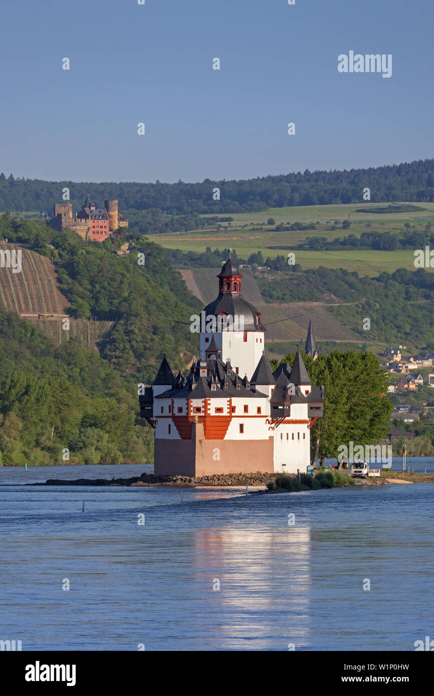 Il castello Pfalzgrafenstein sull'isola Falkenau nel Reno vicino a Kaub, Valle del Reno superiore e centrale, Rheinland-Palatinate, Germania, Europa Foto Stock