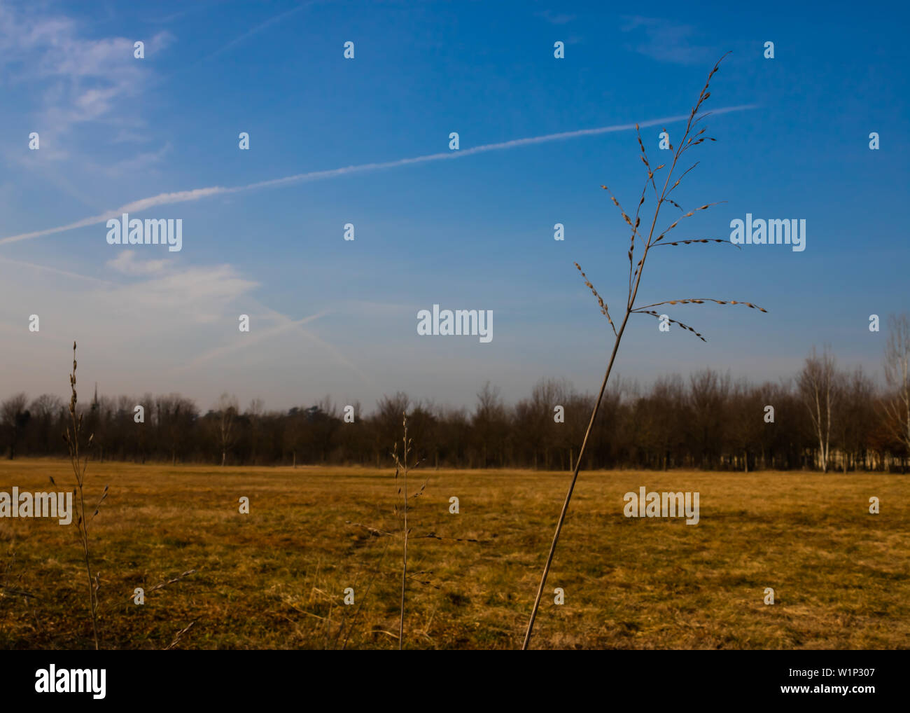 La primavera è venuta alla fattoria, paesaggio a molla Foto Stock