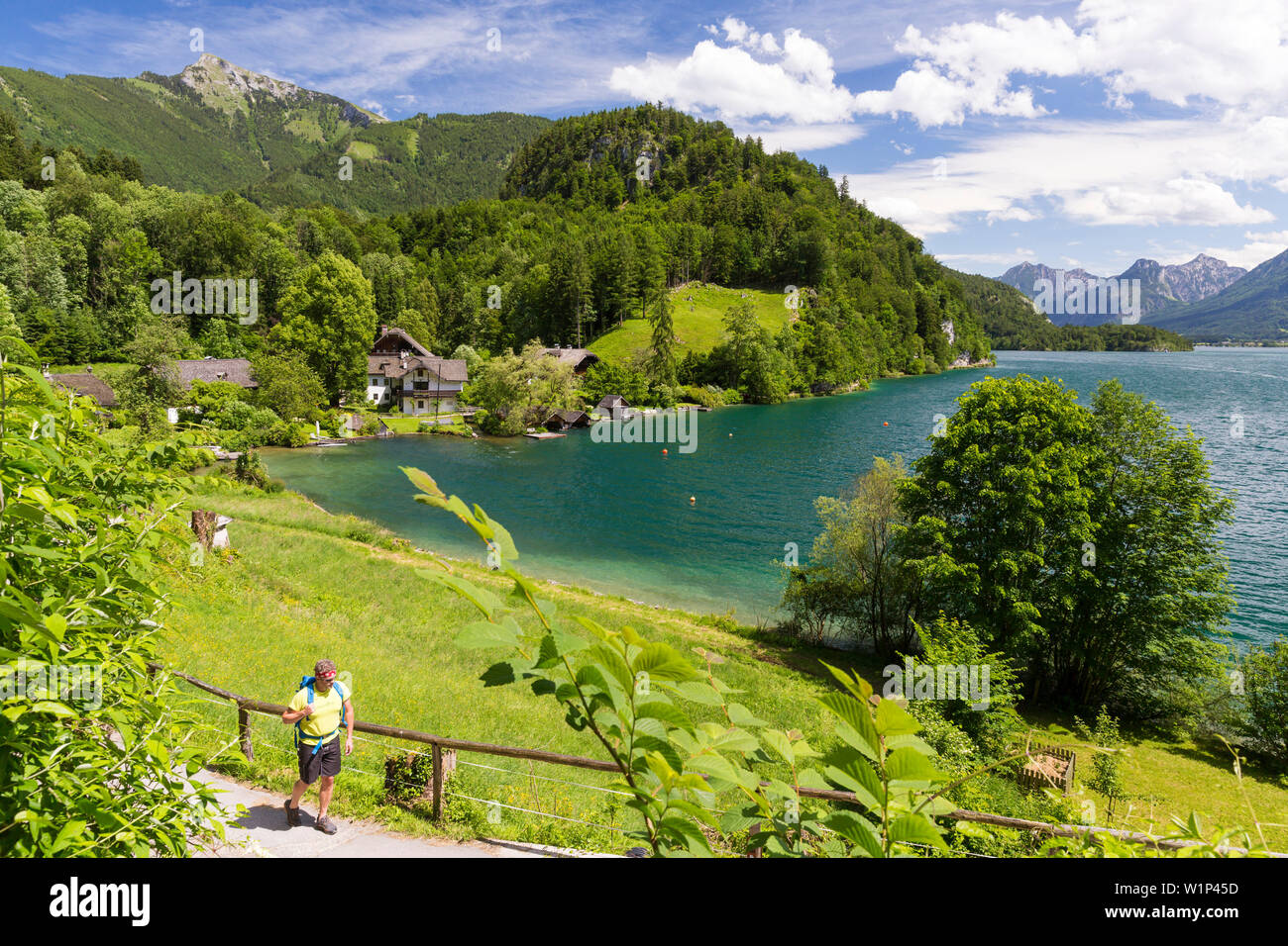 Brunnwinkel ai piedi del monte Schafberg, Wolfgangsee Salzkammergut, Salisburgo, Austria, Europa Foto Stock