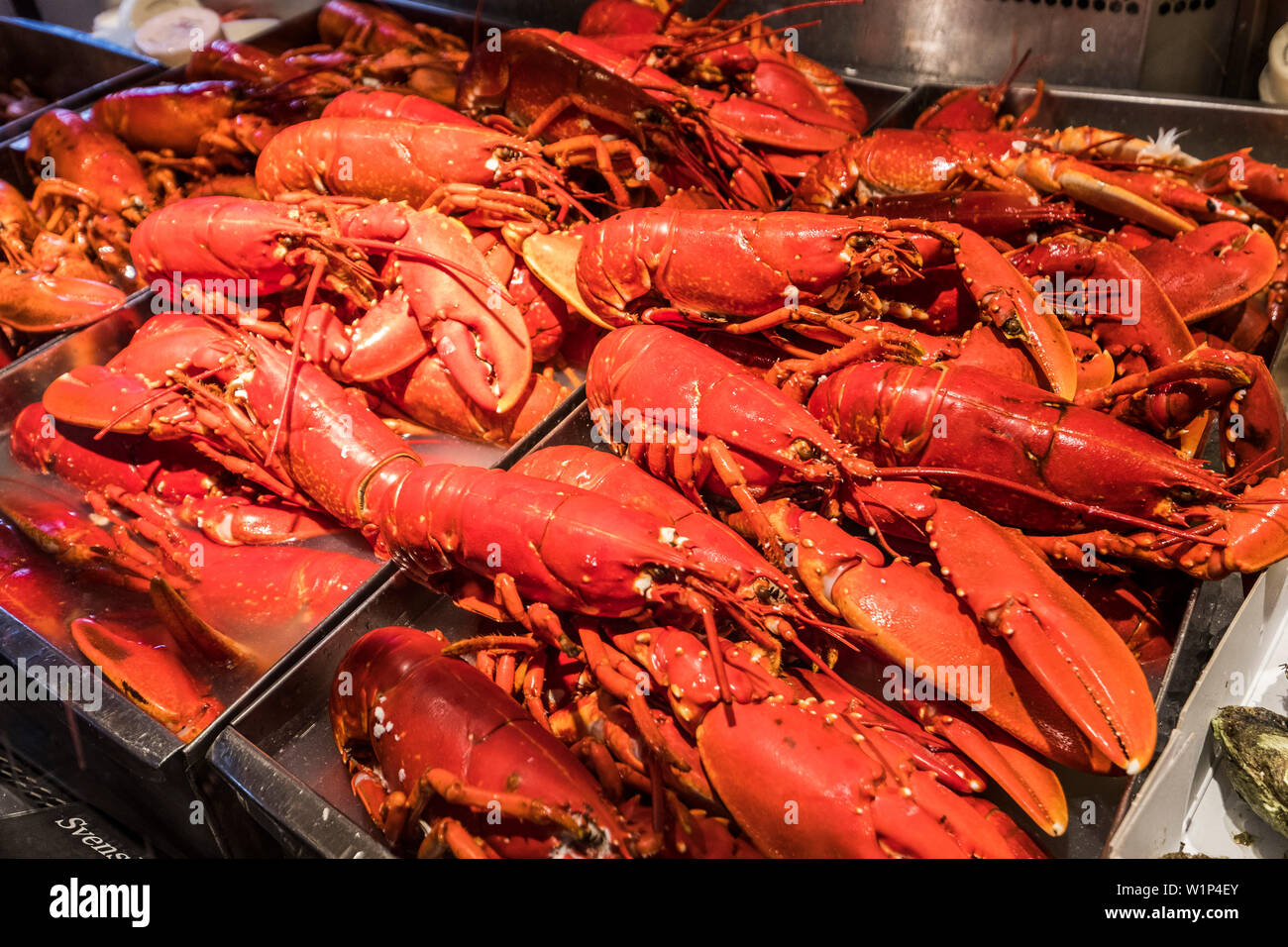 Astice nel mercato hall, Stoccolma, Stoccolma, Svezia Foto Stock
