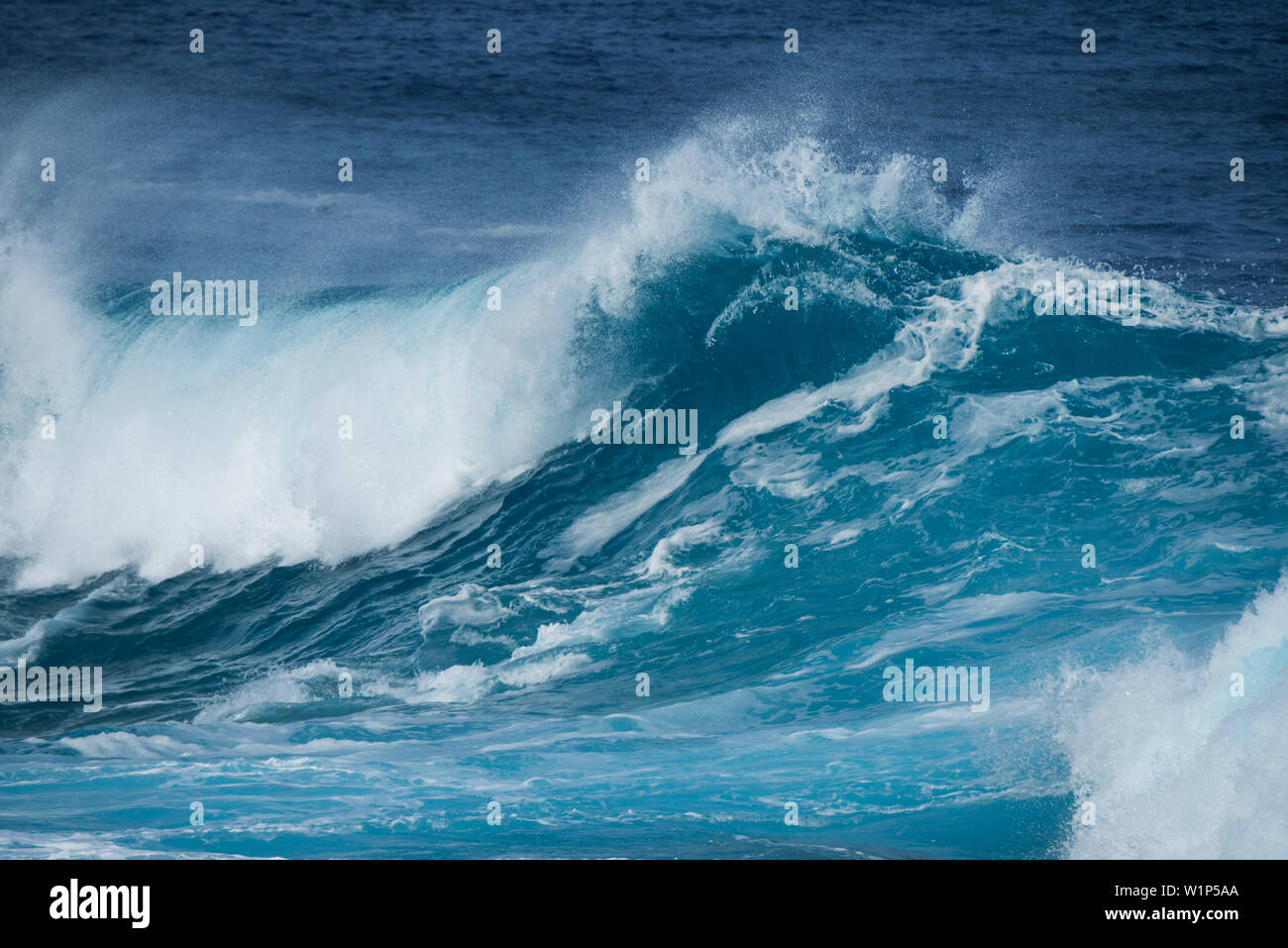 Una grande onda rompe contro i forti venti che soffiano la nebulizzazione dalla parte superiore, Atiu, Isole Cook, Sud Pacifico Foto Stock