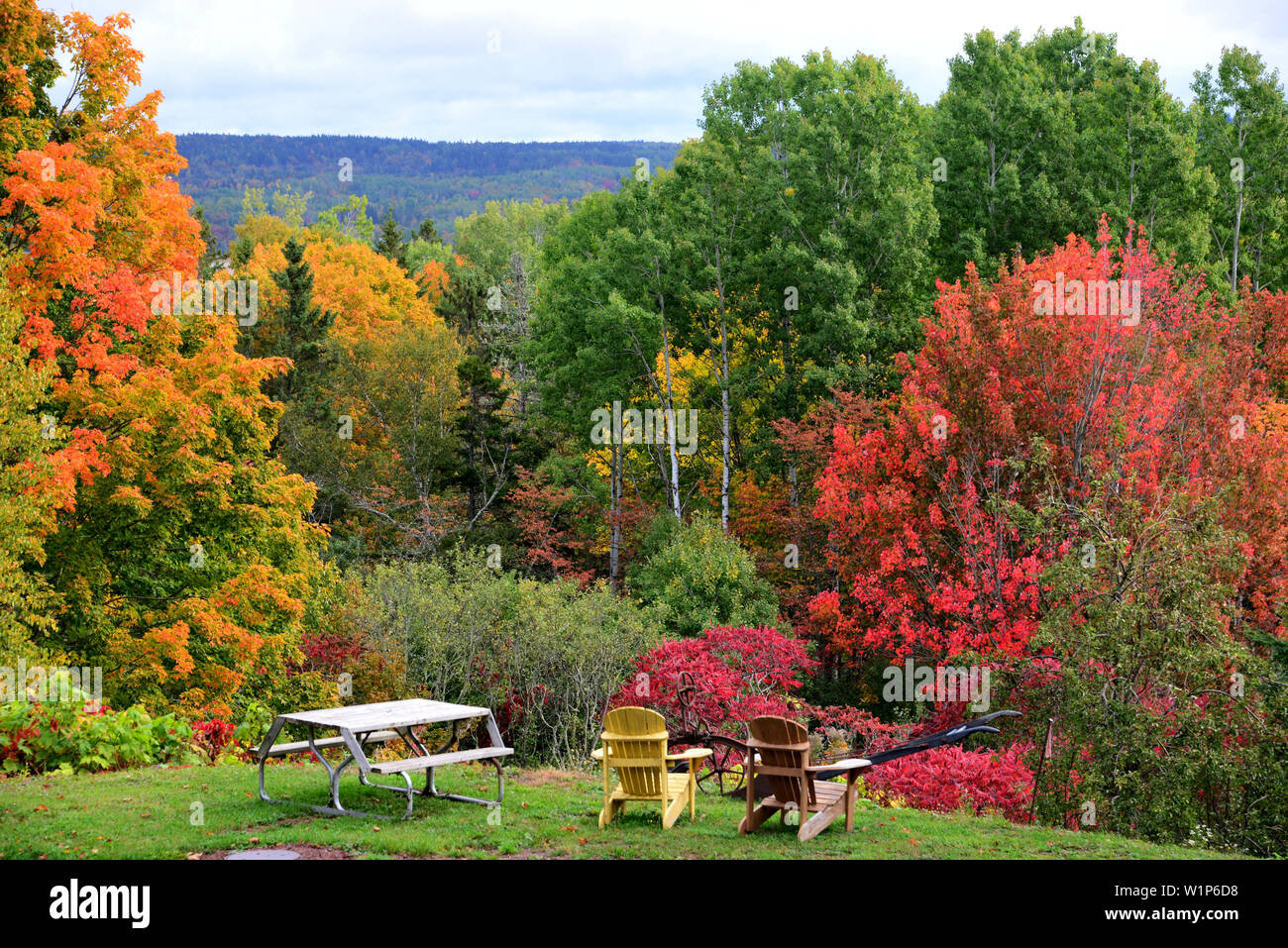 Petitcodiac fiume vicino a Moncton, New Brunswick, Canada Foto Stock