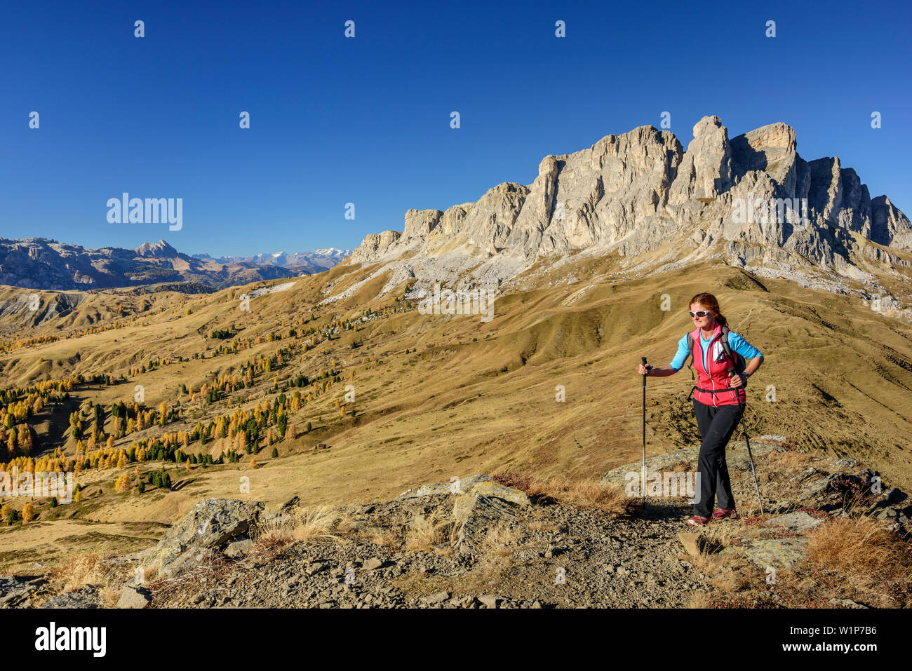Donna escursionismo salendo verso il Col di Lana, Setsass in background, Col di Lana, Dolomiti, patrimonio mondiale dell UNESCO Dolomiti, Veneto, Italia Foto Stock